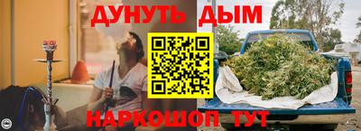прущие грибы Лесосибирск
