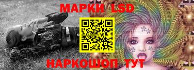 прущие грибы Лесосибирск