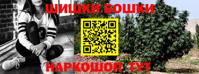 прущие грибы Лесосибирск
