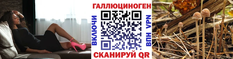 Псилоцибиновые грибы прущие грибы  Северодвинск 