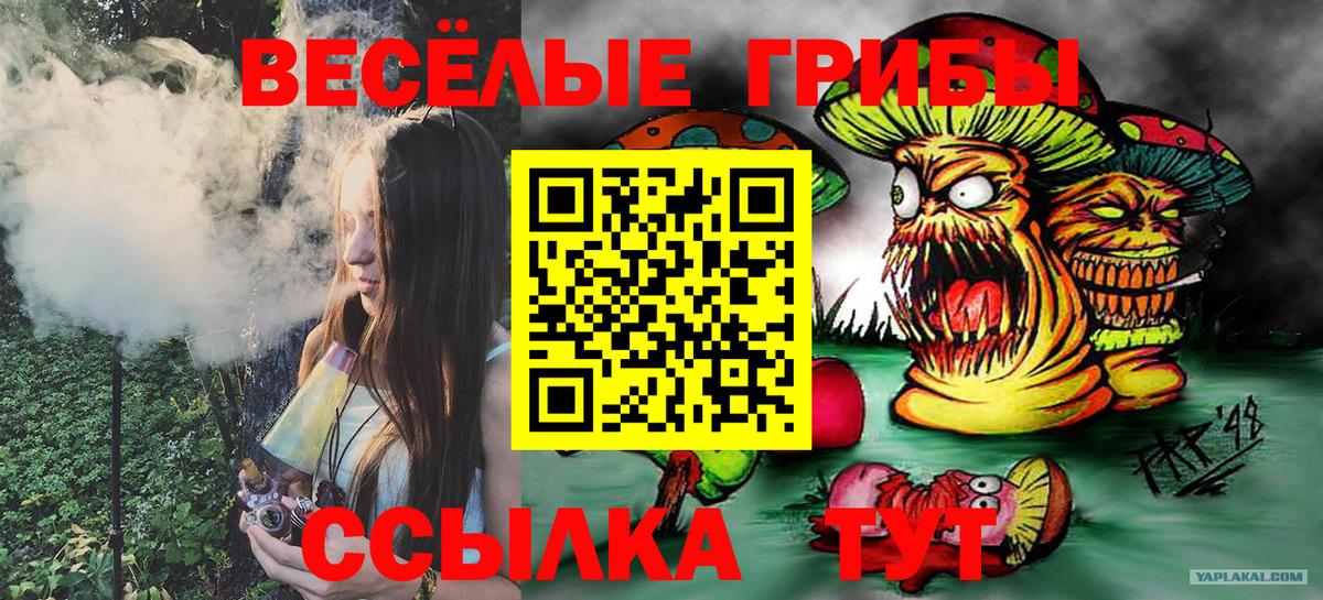 Псилоцибиновые грибы мицелий Северодвинск